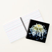 Carnet Fleurs | Chrysanthème blanc (Intérieur)
