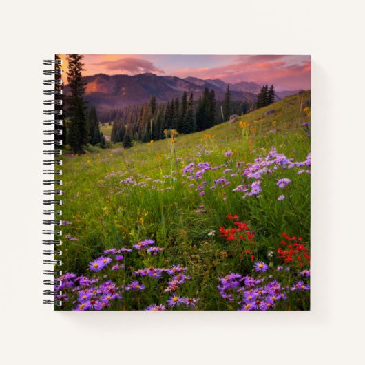 Carnet Fleurs | Colorado Fleur sauvage violet (Devant)