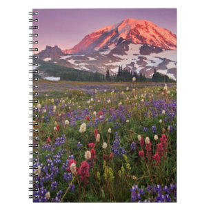 Carnet Fleurs colorées en parc national plus pluvieux