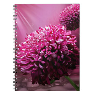 Carnet Fleurs Dahlia