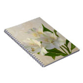 Carnet Fleurs d'Alstromeria Blanche (Côté Droit)