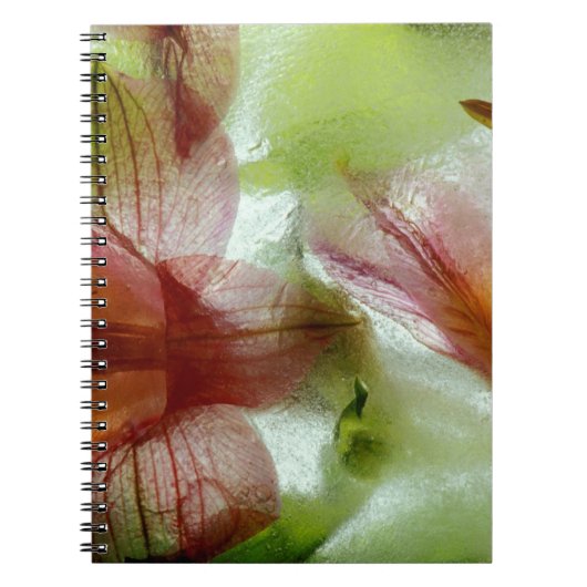 Carnet Fleurs dans la glace (Devant)