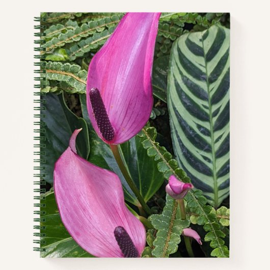 Carnet Fleurs d'anthurium rose et feuillage (Devant)
