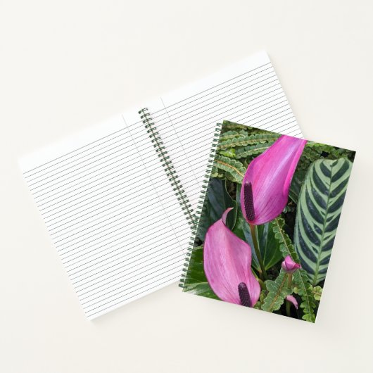 Carnet Fleurs d'anthurium rose et feuillage (Intérieur)