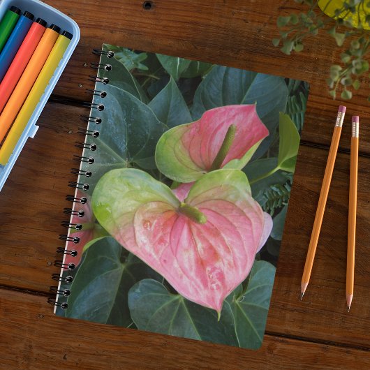Carnet Fleurs d'anthurium rose Floral