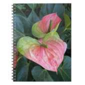 Carnet Fleurs d'anthurium roses Floral (Devant)