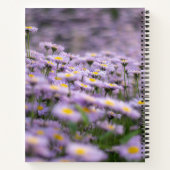 Carnet Fleurs d'aster violet (Dos)