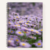 Carnet Fleurs d'aster violet (Devant)