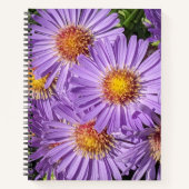 Carnet Fleurs d'aster violettes Floral (Devant)