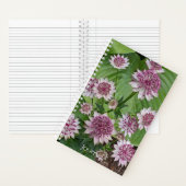 Carnet Fleurs d'Astrantia rose (À l'intérieur)