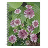 Carnet Fleurs d'Astrantia rose (Devant)