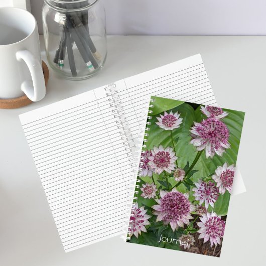 Carnet Fleurs d'Astrantia rose