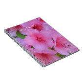 Carnet Fleurs d'azalée rose (ma photographie) (Côté Droit)