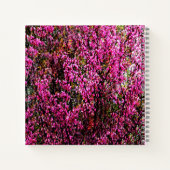 Carnet Fleurs de bourgeons rouges....... (Dos)