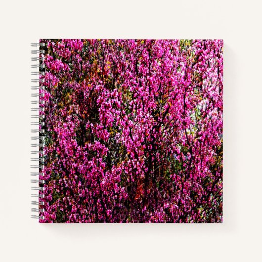 Carnet Fleurs de bourgeons rouges....... (Devant)