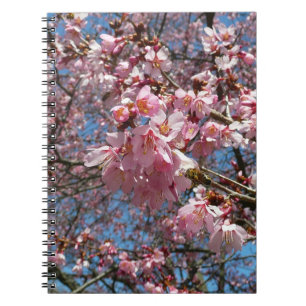 Carnet Fleurs de cerisier et fleurs de printemps roses d'