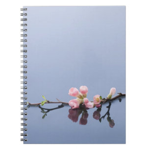 Carnet Fleurs de cerisier sur l'eau