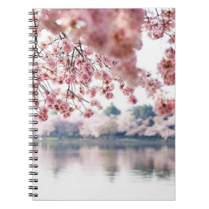 Carnet Fleurs de cerisiers