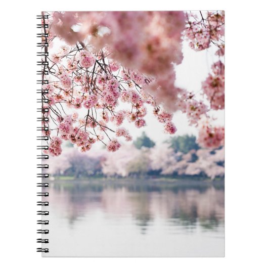 Carnet Fleurs de cerisiers (Devant)