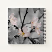 Carnet Fleurs de cerisiers roses (Dos)