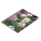 Carnet Fleurs de Clé rose et blanc (Côté gauche)