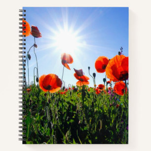 Carnet Fleurs de crapets rouges sauvages