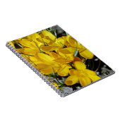 Carnet Fleurs de Crocus Jaune (Côté Droit)