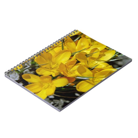 Carnet Fleurs de Crocus Jaune (Côté gauche)