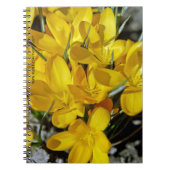 Carnet Fleurs de Crocus Jaune (Devant)