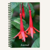 Carnet Fleurs de Fuchsia Rouges Élancées Florales (Recto)