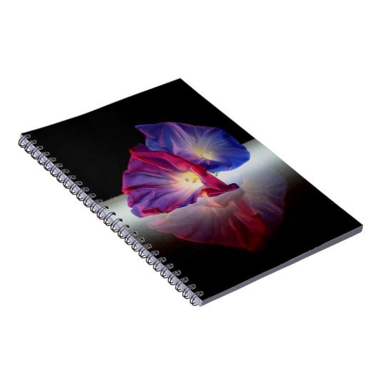 CARNET FLEURS DE GLOIRE DU MATIN (Côté Droit)