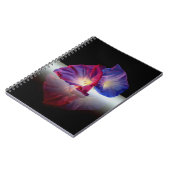 CARNET FLEURS DE GLOIRE DU MATIN (Côté gauche)
