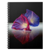 CARNET FLEURS DE GLOIRE DU MATIN (Devant)