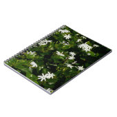 Carnet Fleurs de jasmin Botanique tropicale florale (Côté gauche)