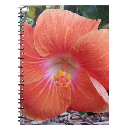 Carnet Fleurs de ketmie d'Hawaï (Devant)
