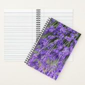 Carnet Fleurs de Lavande Herbacée (À l'intérieur)