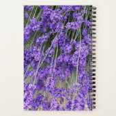 Carnet Fleurs de Lavande Herbacée (Verso)