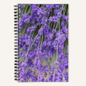 Carnet Fleurs de Lavande Herbacée (Recto)