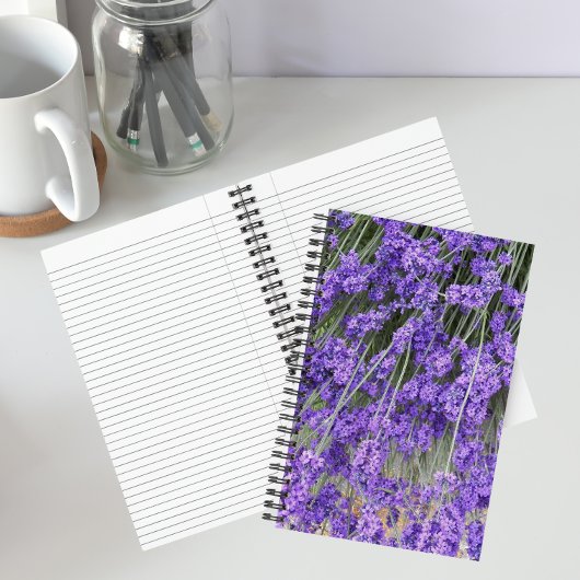 Carnet Fleurs de Lavande Herbacée
