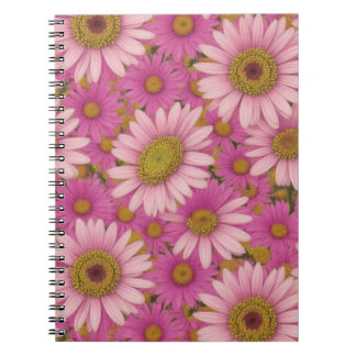Carnet Fleurs de marguerite rose