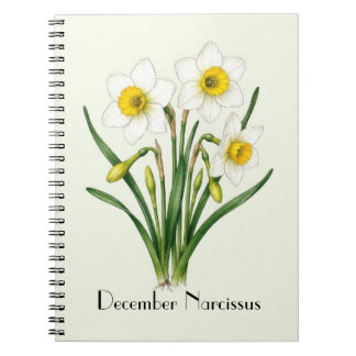 Carnet Fleurs de Narcisse de Décembre