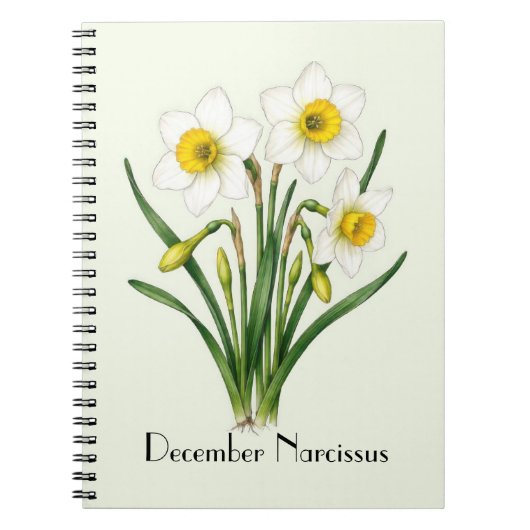 Carnet Fleurs de Narcisse de Décembre (Devant)