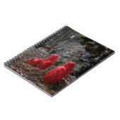 Carnet Fleurs de neige (Côté gauche)