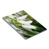 Carnet Fleurs de neige (Côté Droit)