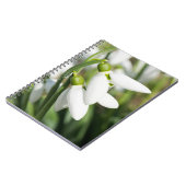 Carnet Fleurs de neige (Côté gauche)