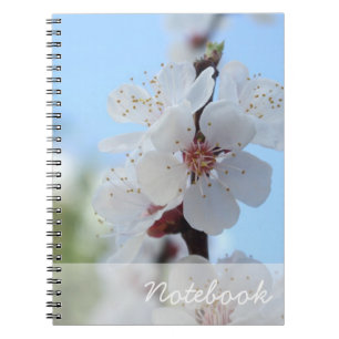 Carnet Fleurs de Pêche