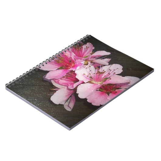 Carnet Fleurs de pêche (Côté gauche)