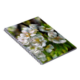 Carnet Fleurs de pommier