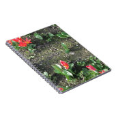 Carnet fleurs de printemps rouges dans le parc (Côté Droit)