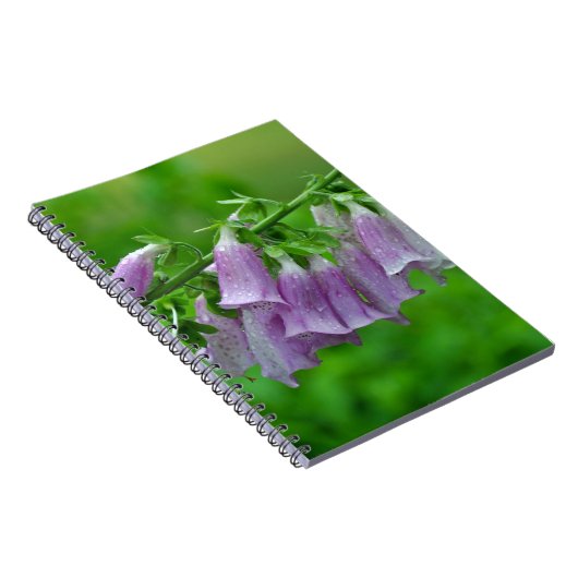 Carnet Fleurs de renard pourpre (Côté Droit)
